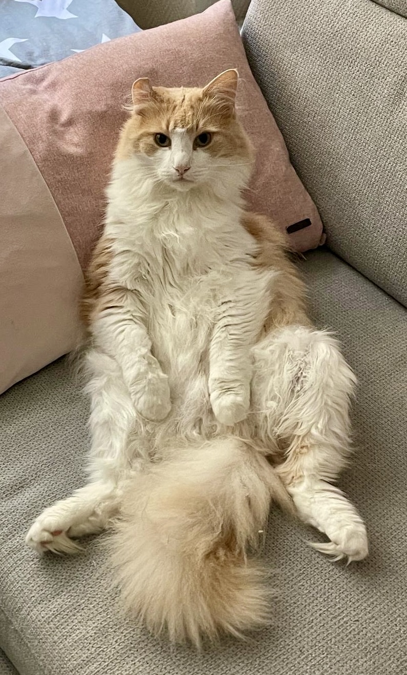 710b43d4-da58-4b7b-9476-dbaeae639f53